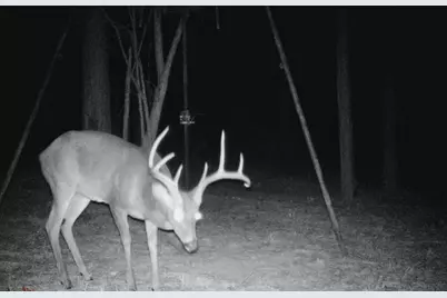 45 Acres Fm 229, Crockett, TX 75835 - Photo 13