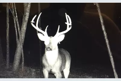 45 Acres Fm 229, Crockett, TX 75835 - Photo 11