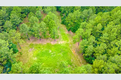 45 Acres Fm 229, Crockett, TX 75835 - Photo 5