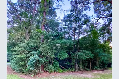 30803 Green Forest, Magnolia, TX 77354 - Photo 17