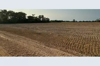 Tbd Lot 9 County Road 201, Plantersville, TX 77363 - Photo 5