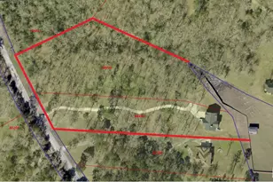 231 Ridge Cove Ln, Coldspring, TX 77331 - Photo 47