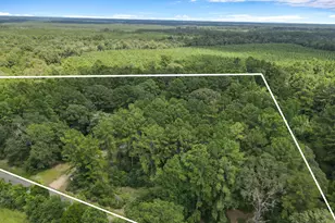 506 County Road 4580 S, Spurger, TX 77660 - Photo 33