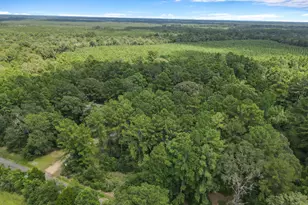 506 County Road 4580 S, Spurger, TX 77660 - Photo 27