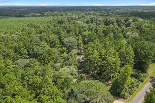 506 County Road 4580 S, Spurger, TX 77660 - Photo 29