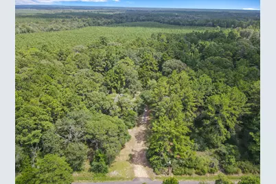 506 County Road 4580 S, Spurger, TX 77660 - Photo 29