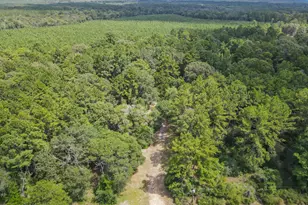 506 County Road 4580 S, Spurger, TX 77660 - Photo 29
