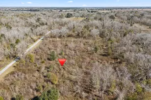 0 Cr 165/ Holmes, Cedar Lane, TX 77415 - Photo 1