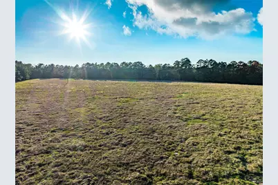 Tbd Anderson County Road 153, Palestine, TX 75801 - Photo 17