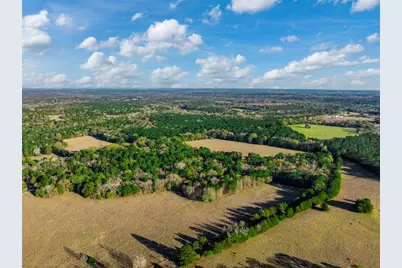 Tbd Anderson County Road 153, Palestine, TX 75801 - Photo 9