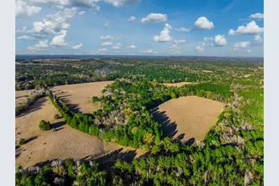 Tbd Anderson County Road 153, Palestine, TX 75801 - Photo 7