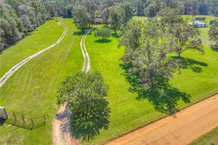 438 Bird Rd, Livingston, TX 77351 - Photo 37