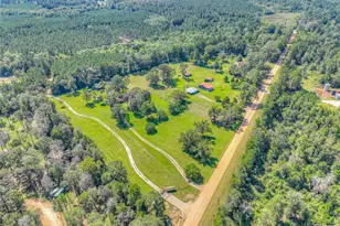 438 Bird Rd, Livingston, TX 77351 - Photo 29