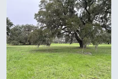 0 Old Henry Court, Angleton, TX 77515 - Photo 9