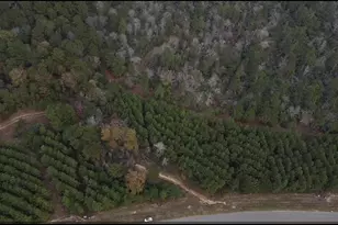 16012 Wood Grv Wy, Willis, TX 77378 - Photo 25