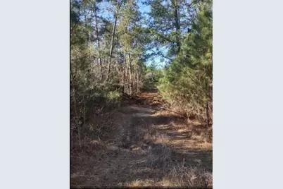 16012 Wood Grove Way, Willis, TX 77378 - Photo 5