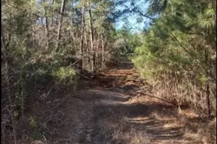 16012 Wood Grv Wy, Willis, TX 77378 - Photo 5