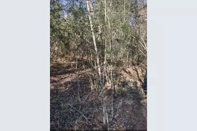 16012 Wood Grove Way, Willis, TX 77378 - Photo 11