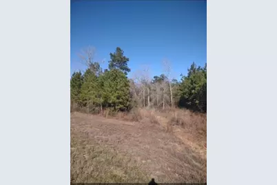 16012 Wood Grove Way, Willis, TX 77378 - Photo 9