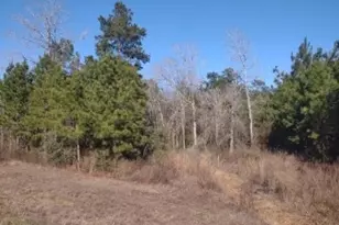 16012 Wood Grv Wy, Willis, TX 77378 - Photo 9