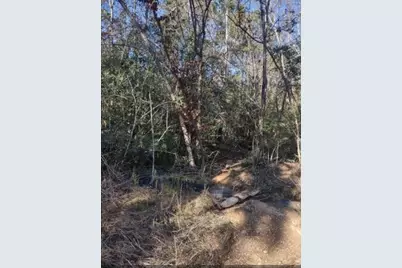 16012 Wood Grove Way, Willis, TX 77378 - Photo 13