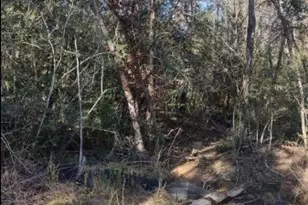 16012 Wood Grv Wy, Willis, TX 77378 - Photo 13