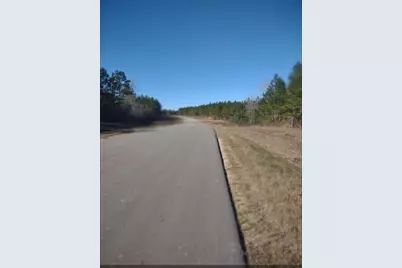 16012 Wood Grove Way, Willis, TX 77378 - Photo 3