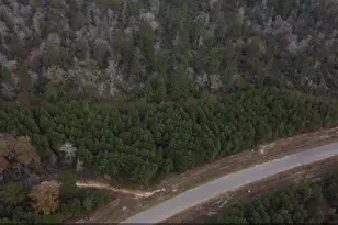 16012 Wood Grv Wy, Willis, TX 77378 - Photo 19