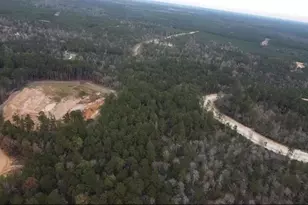 16012 Wood Grv Wy, Willis, TX 77378 - Photo 23