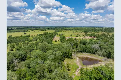 6501 Atakapan Trail, Bedias, TX 77831 - Photo 7