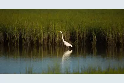 15 Half Moon, Hitchcock, TX 77563 - Photo 47