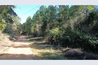 Tbd Cr 2265, Grapeland, TX 75844 - Photo 23