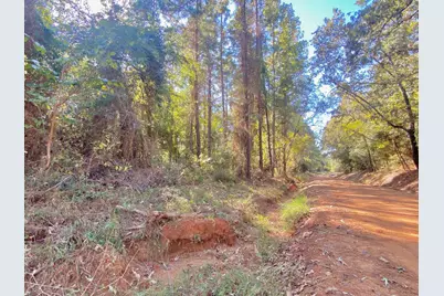 Tbd Cr 2265, Grapeland, TX 75844 - Photo 19