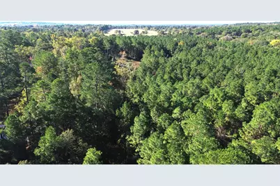 Tbd Cr 2265, Grapeland, TX 75844 - Photo 5