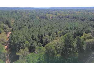 Tbd Cr 2265, Grapeland, TX 75844 - Photo 1