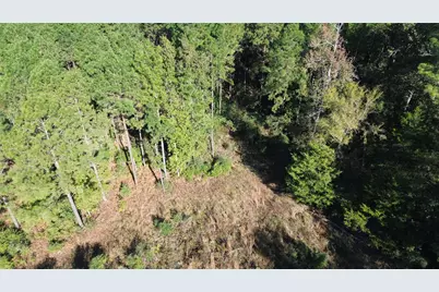 Tbd Cr 2265, Grapeland, TX 75844 - Photo 11