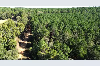 Tbd Cr 2265, Grapeland, TX 75844 - Photo 15