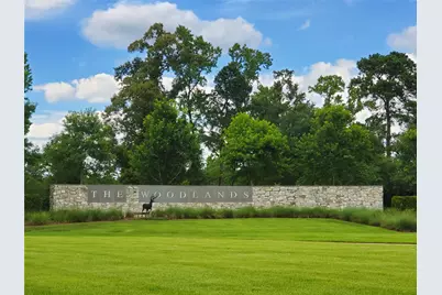 6 Bay Mills Place, The Woodlands, TX 77389 - Photo 47