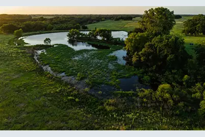 8531 Tottenham Road, Chappell Hill, TX 77426 - Photo 9