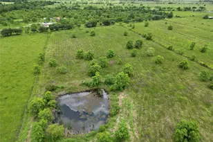 0 County Road 171, Liverpool, TX 77577 - Photo 3