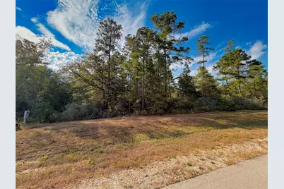 329 Exploration Road, Willis, TX 77378 - Photo 3