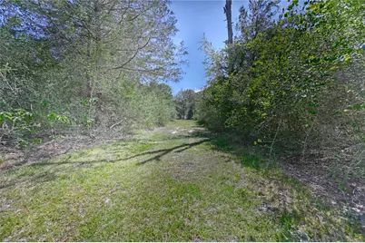 8595 Jared Road, Bellville, TX 77418 - Photo 39