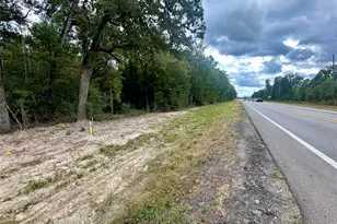 7825 S Fm 1486, Montgomery, TX 77316 - Photo 9