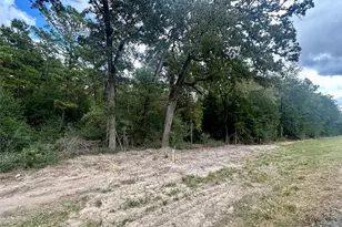 7825 S Fm 1486, Montgomery, TX 77316 - Photo 11