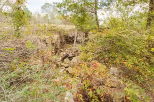 272 Pine Rd, Somerville, TX 77879 - Photo 17