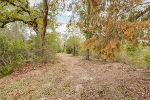 272 Pine Rd, Somerville, TX 77879 - Photo 19