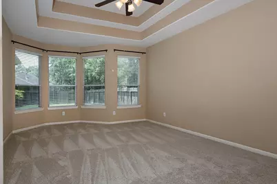19 Patina Pines Place, The Woodlands, TX 77381 - Photo 13