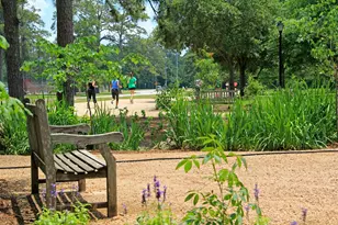 170 Malone St, Houston, TX 77007 - Photo 29