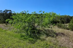 43136 Lantana Dr, Whitney, TX 76692 - Photo 9