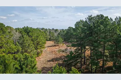 (39.15 Acres) 12868 County Road 122, Centerville, TX 75833 - Photo 5